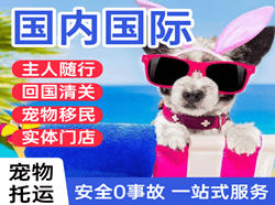 宜昌三峡空运地址国际宠物托运 【国